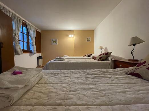 Hotel Pinto Terraza Esquel Kültér fotó